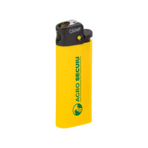 Bricheta personalizata Cricket